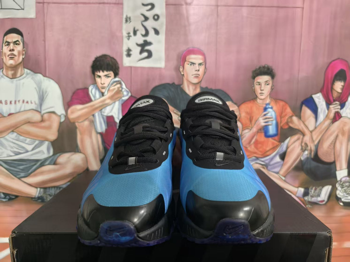 Nike Air Max Sneakers Blue and Black