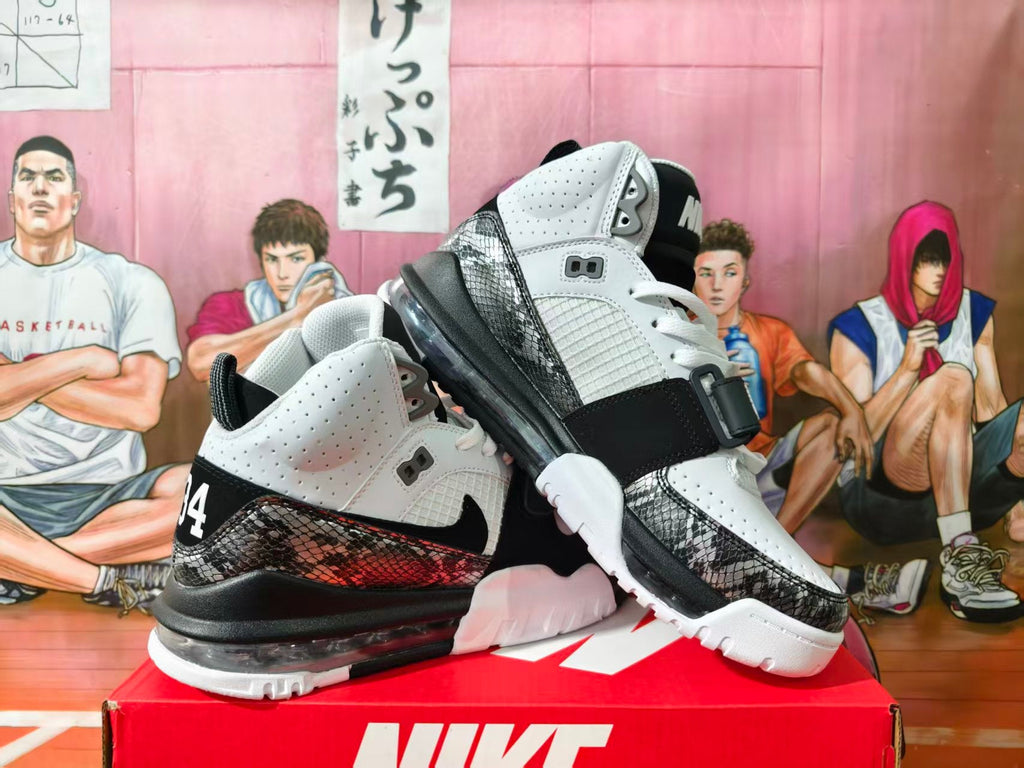 Nike LeBron 4 Basketball Shoes White Black