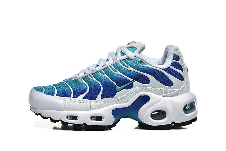 Nike Air Max Plus Blue and Teal Sneakers