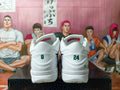 Nike Kobe 4 Protro Basketball Shoes White Green