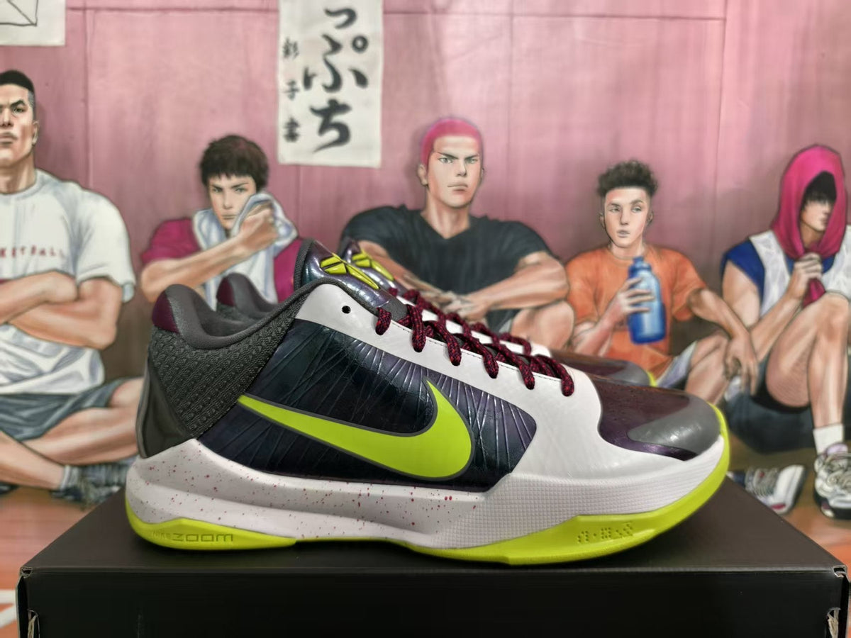 Nike Zoom Basketball Sneakers Joker Colorway EU 40–48.5