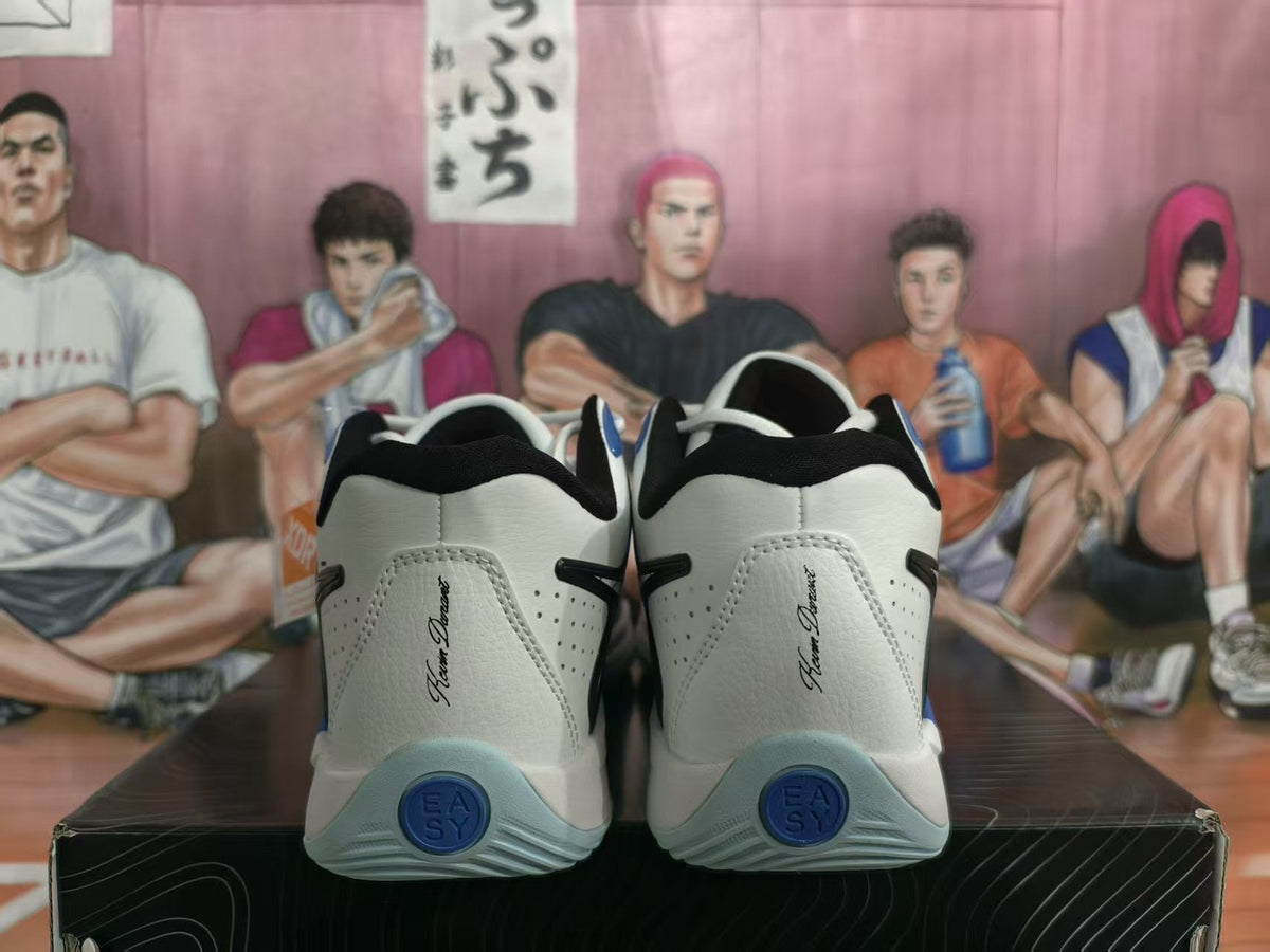 Nike LeBron Basketball Shoes White Blue