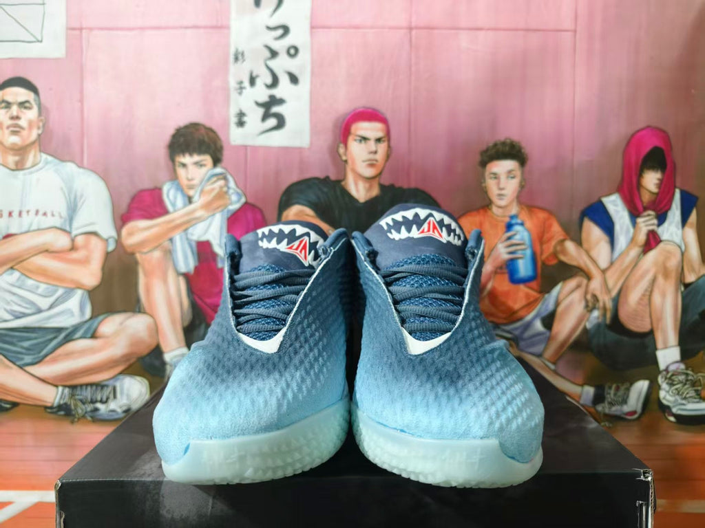 Nike LeBron 20 Basketball Shoes in Blue Gray