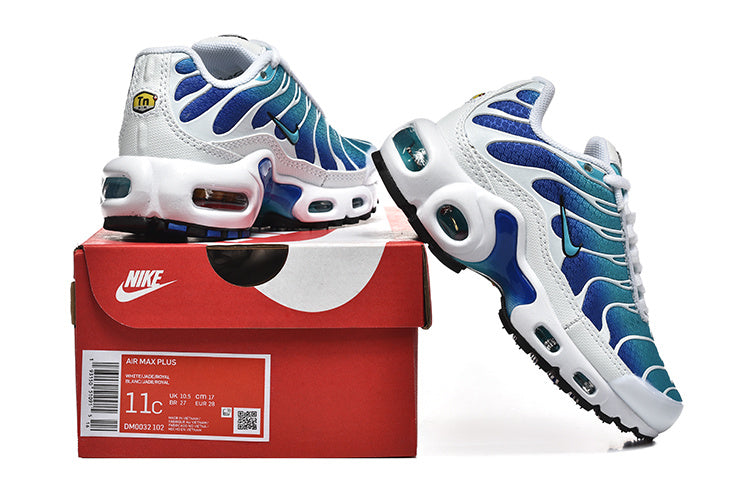Nike Air Max Plus Blue and Teal Sneakers