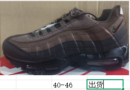 Nike Air Max 95 TT Brown Sneakers HM4740-200