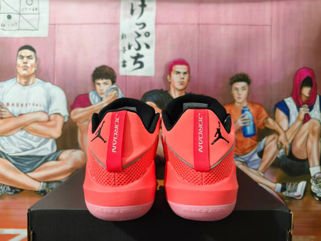 Jordan Luka 2 Basketball Shoes in Coral Pink and Black
