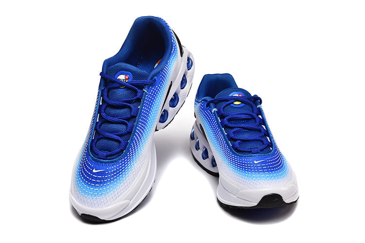 Nike Blue and White Air-Cushioned Sneakers