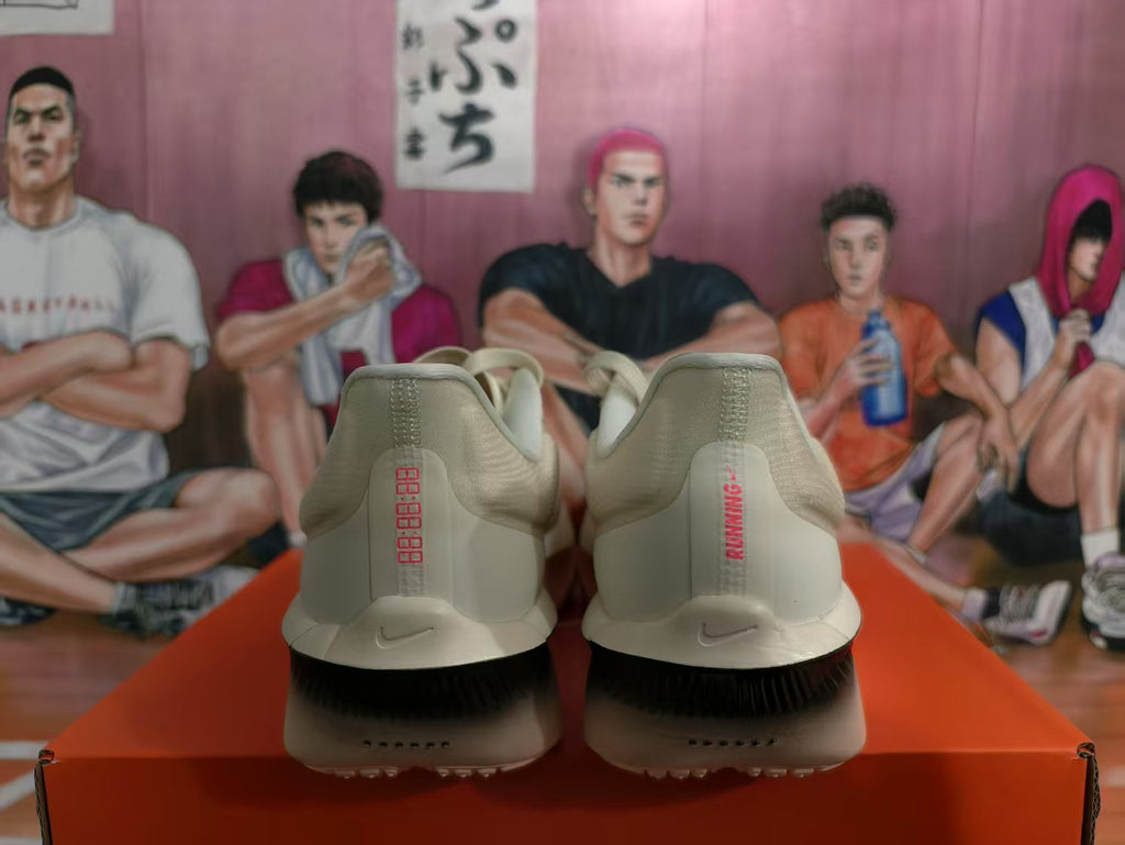 Nike Running Shoes Beige and Black ZoomX