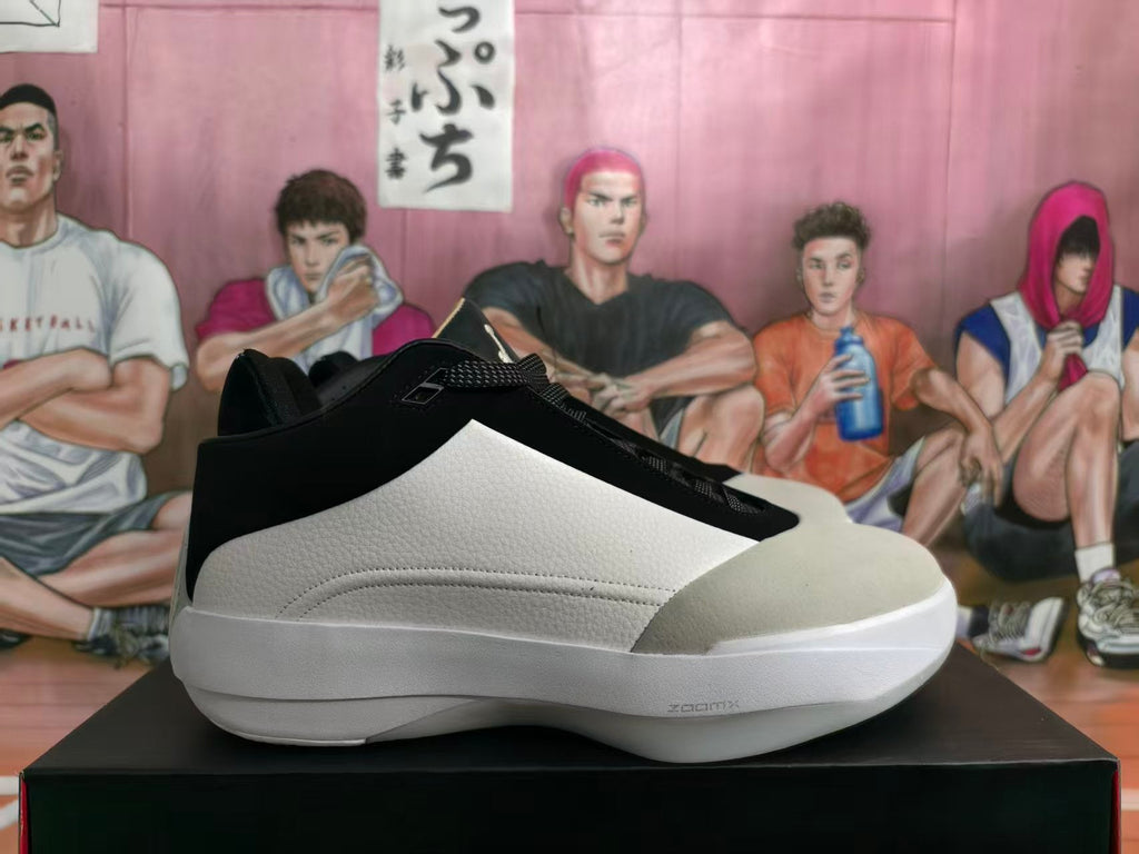 Jordan Luka 1 Basketball Shoes White Black