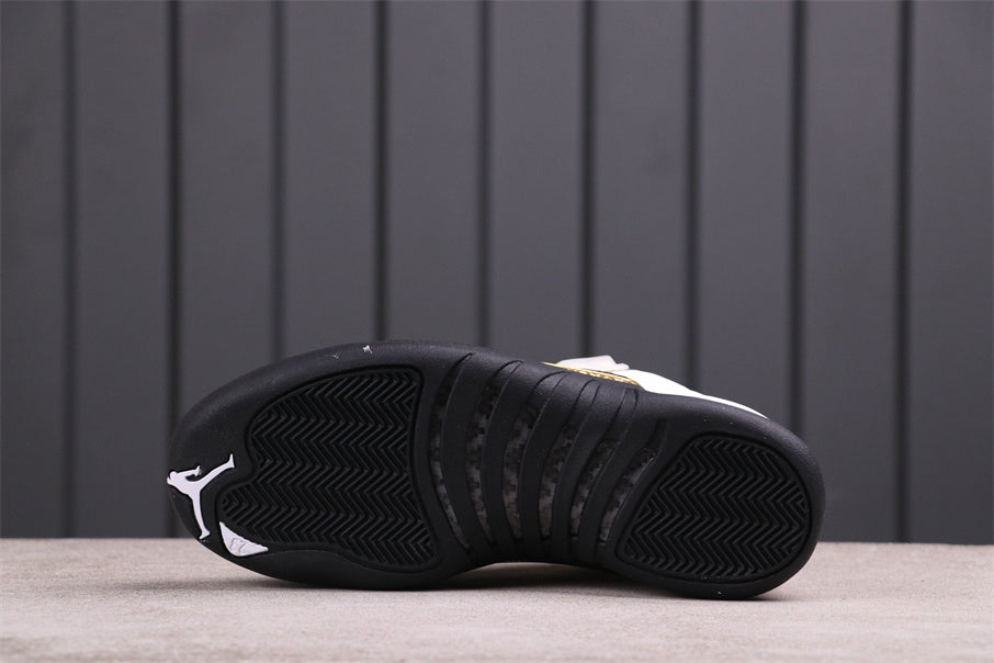 Air Jordan 12 Reverse Flu Game High-Top Sneakers CT8013-170