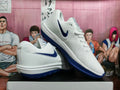 Nike LeBron Basketball Shoes White and Deep Blue