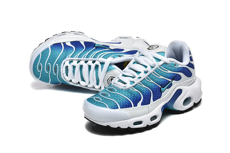 Nike Air Max Plus Blue and Teal Sneakers