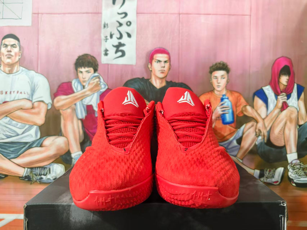 Nike LeBron Basketball Shoes Red and Black