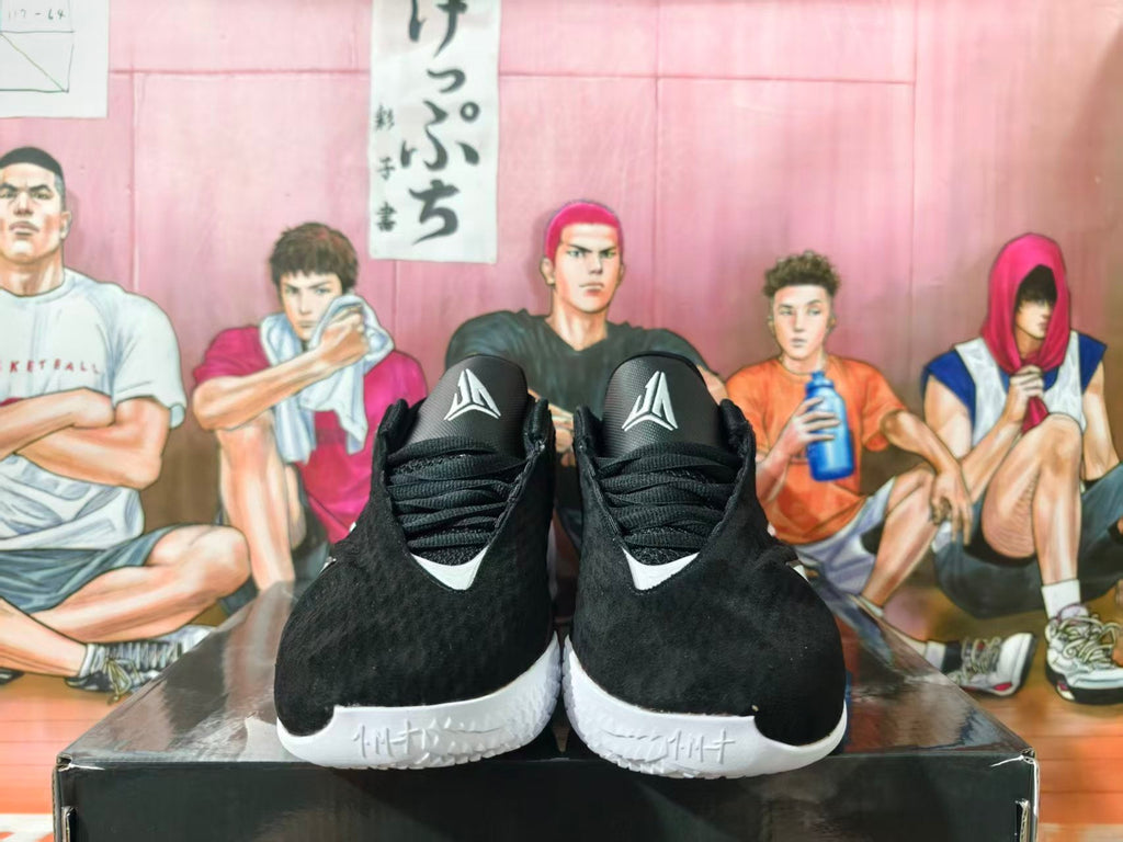 Nike LeBron Basketball Shoes Black White