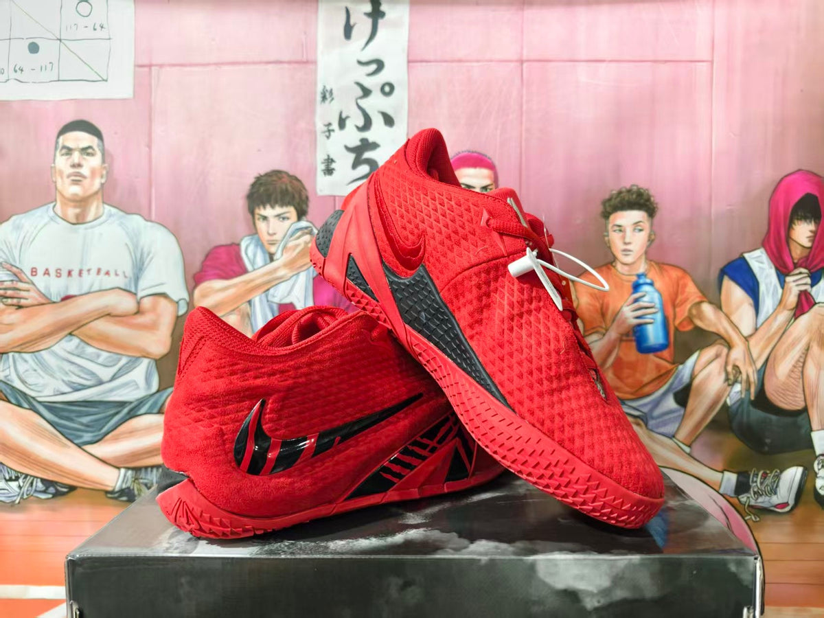 Nike LeBron Basketball Shoes in Red and Black