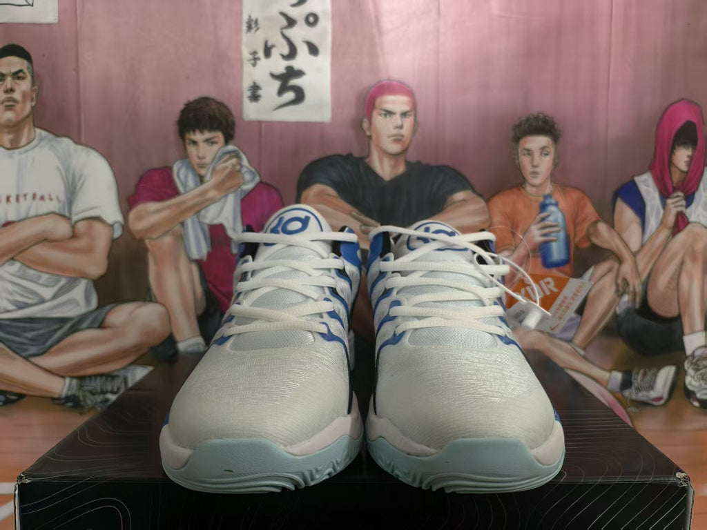 Nike LeBron Basketball Shoes White Blue