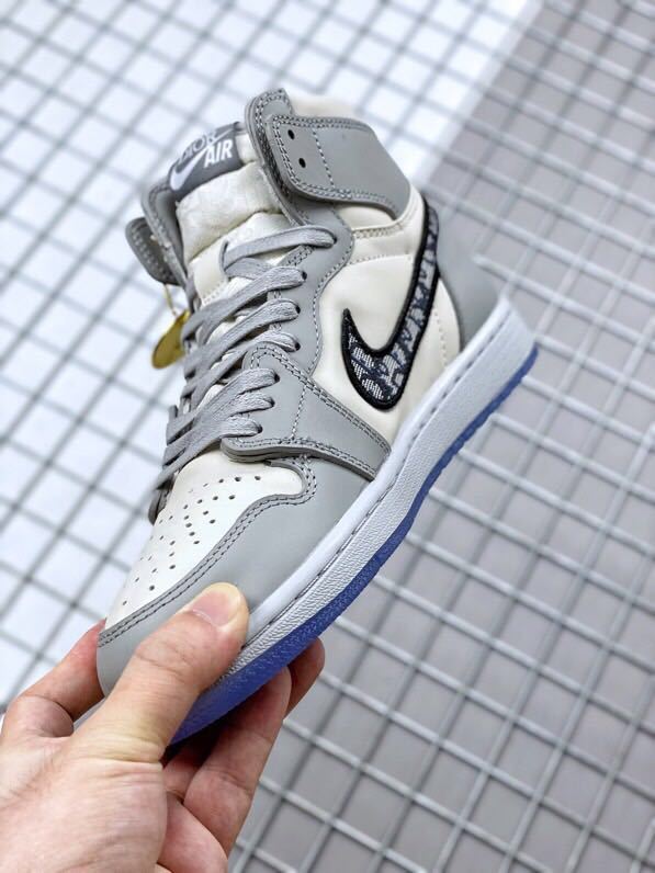 Nike Air Jordan 1 High OG Dior Gray White CN8607-002